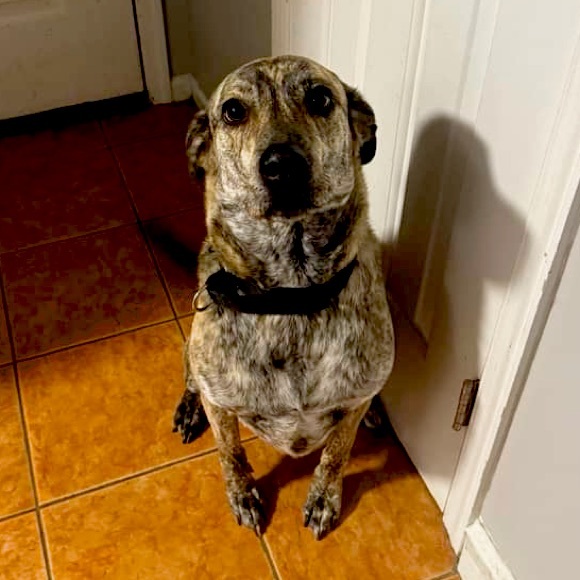 Meet your Posher, M - Picture 1 of 1